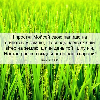 Picture 06 - Вихід 10:13 UKR - І простяг Мойсей свою - Bible Verse Picture