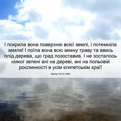 Picture 06 - Вихід 10:15 UKR - І покрила вона поверхню - Bible Verse Picture