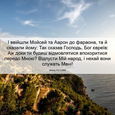 Picture 06 - Вихід 10:3 UKR - І ввійшли Мойсей та Аарон - Bible Verse Picture