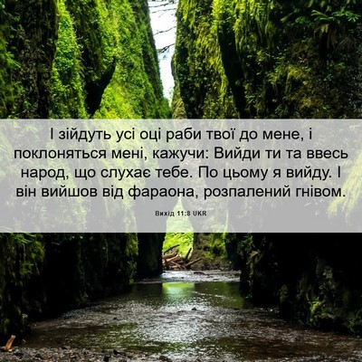Picture 06 - Вихід 11:8 UKR - І зійдуть усі оці раби твої - Bible Verse Picture