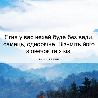 Picture 06 - Вихід 12:5 UKR - Ягня у вас нехай буде без - Bible Verse Picture