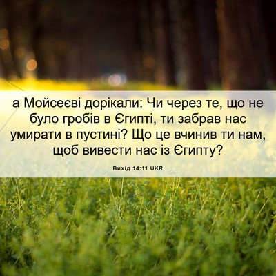 Picture 06 - Вихід 14:11 UKR - а Мойсеєві дорікали: Чи - Bible Verse Picture