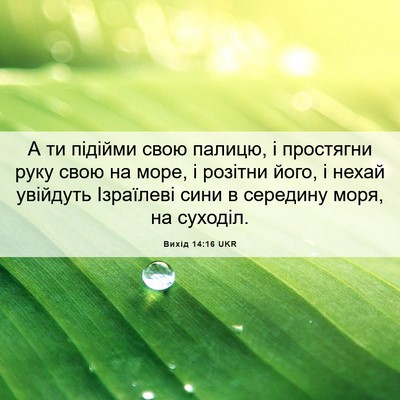 Picture 06 - Вихід 14:16 UKR - А ти підійми свою палицю, і - Bible Verse Picture