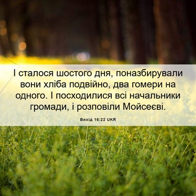 Picture 06 - Вихід 16:22 UKR - І сталося шостого дня, - Bible Verse Picture