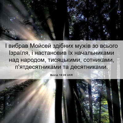 Picture 06 - Вихід 18:25 UKR - І вибрав Мойсей здібних - Bible Verse Picture
