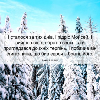 Picture 06 - Вихід 2:11 UKR - І сталося за тих днів, і - Bible Verse Picture