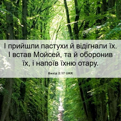 Picture 06 - Вихід 2:17 UKR - І прийшли пастухи й - Bible Verse Picture