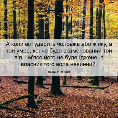 Picture 06 - Вихід 21:28 UKR - А коли віл ударить - Bible Verse Picture