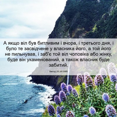 Picture 06 - Вихід 21:29 UKR - А якщо віл був битливим і - Bible Verse Picture