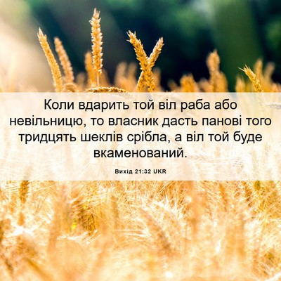 Picture 06 - Вихід 21:32 UKR - Коли вдарить той віл раба - Bible Verse Picture