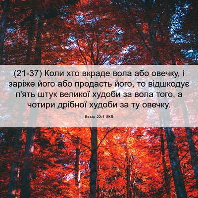Picture 06 - Вихід 22:1 UKR - (21-37) Коли хто вкраде вола - Bible Verse Picture
