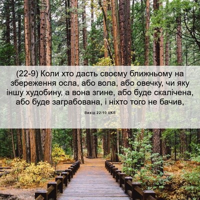 Picture 06 - Вихід 22:10 UKR - (22-9) Коли хто дасть своєму - Bible Verse Picture