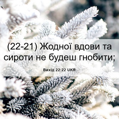 Picture 06 - Вихід 22:22 UKR - (22-21) Жодної вдови та сироти - Bible Verse Picture
