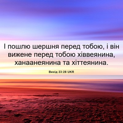 Picture 06 - Вихід 23:28 UKR - І пошлю шершня перед тобою, - Bible Verse Picture