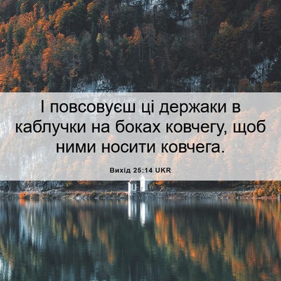 Picture 06 - Вихід 25:14 UKR - І повсовуєш ці держаки в - Bible Verse Picture