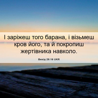 Picture 06 - Вихід 29:16 UKR - І заріжеш того барана, і - Bible Verse Picture