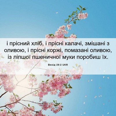 Picture 06 - Вихід 29:2 UKR - і прісний хліб, і прісні - Bible Verse Picture