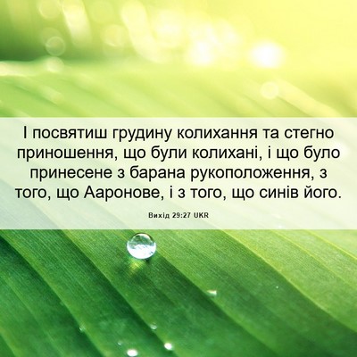Picture 06 - Вихід 29:27 UKR - І посвятиш грудину - Bible Verse Picture