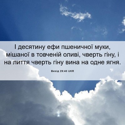 Picture 06 - Вихід 29:40 UKR - І десятину ефи пшеничної - Bible Verse Picture