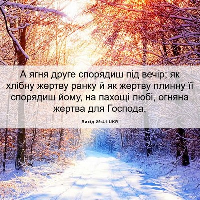 Picture 06 - Вихід 29:41 UKR - А ягня друге спорядиш під - Bible Verse Picture