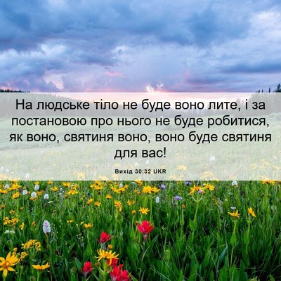Picture 06 - Вихід 30:32 UKR - На людське тіло не буде - Bible Verse Picture