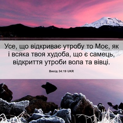 Picture 06 - Вихід 34:19 UKR - Усе, що відкриває утробу то - Bible Verse Picture