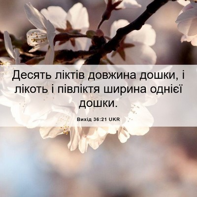 Picture 06 - Вихід 36:21 UKR - Десять ліктів довжина - Bible Verse Picture