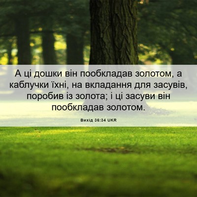 Picture 06 - Вихід 36:34 UKR - А ці дошки він пообкладав - Bible Verse Picture