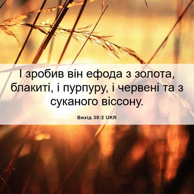 Picture 06 - Вихід 39:2 UKR - І зробив він ефода з - Bible Verse Picture