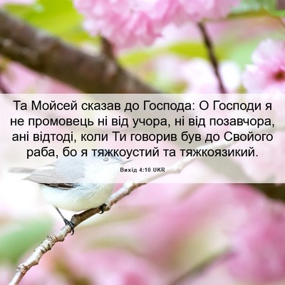 Picture 06 - Вихід 4:10 UKR - Та Мойсей сказав до - Bible Verse Picture