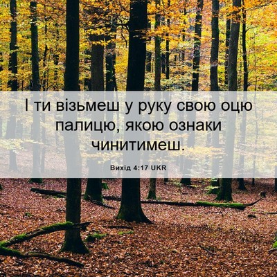 Picture 06 - Вихід 4:17 UKR - І ти візьмеш у руку свою - Bible Verse Picture