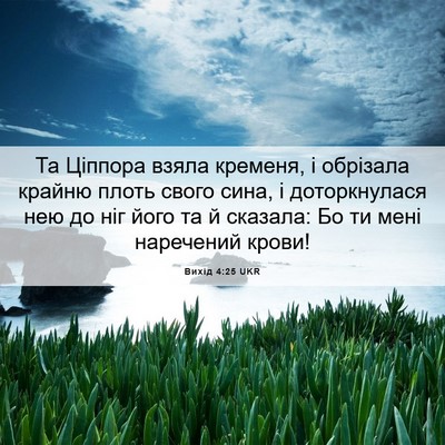 Picture 06 - Вихід 4:25 UKR - Та Ціппора взяла кременя, і - Bible Verse Picture