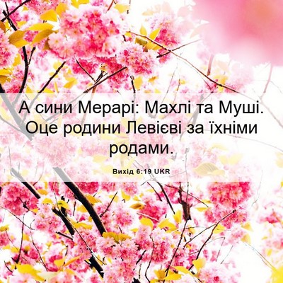 Picture 06 - Вихід 6:19 UKR - А сини Мерарі: Махлі та - Bible Verse Picture