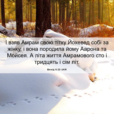 Picture 06 - Вихід 6:20 UKR - І взяв Амрам свою тітку - Bible Verse Picture