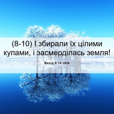 Picture 06 - Вихід 8:14 UKR - (8-10) І збирали їх цілими - Bible Verse Picture
