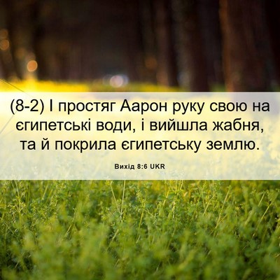 Picture 06 - Вихід 8:6 UKR - (8-2) І простяг Аарон руку - Bible Verse Picture