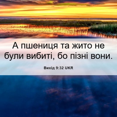 Picture 06 - Вихід 9:32 UKR - А пшениця та жито не були - Bible Verse Picture