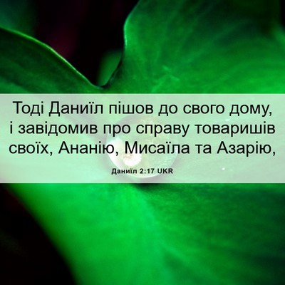 Picture 06 - Даниїл 2:17 UKR - Тоді Даниїл пішов до свого - Bible Verse Picture