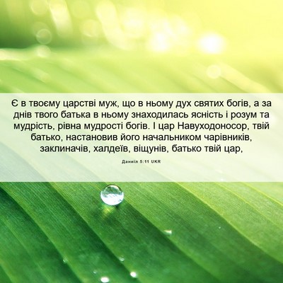 Picture 06 - Даниїл 5:11 UKR - Є в твоєму царстві муж, що в - Bible Verse Picture