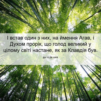 Picture 06 - Дії 11:28 UKR - І встав один з них, на - Bible Verse Picture