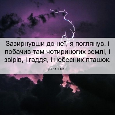 Picture 06 - Дії 11:6 UKR - Зазирнувши до неї, я - Bible Verse Picture