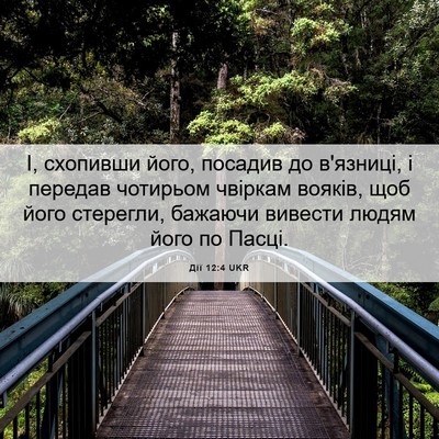 Picture 06 - Дії 12:4 UKR - І, схопивши його, посадив - Bible Verse Picture