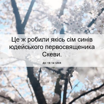 Picture 06 - Дії 19:14 UKR - Це ж робили якісь сім синів - Bible Verse Picture