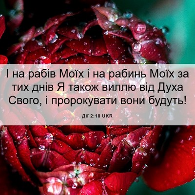 Picture 06 - Дії 2:18 UKR - І на рабів Моїх і на рабинь - Bible Verse Picture