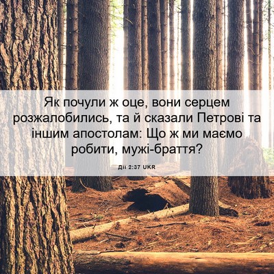 Picture 06 - Дії 2:37 UKR - Як почули ж оце, вони - Bible Verse Picture