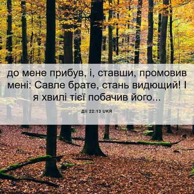Picture 06 - Дії 22:13 UKR - до мене прибув, і, ставши, - Bible Verse Picture