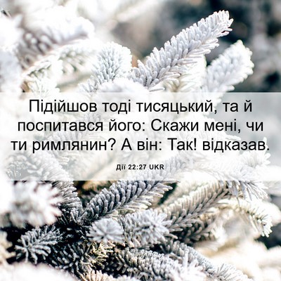 Picture 06 - Дії 22:27 UKR - Підійшов тоді тисяцький, - Bible Verse Picture