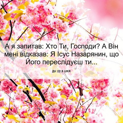 Picture 06 - Дії 22:8 UKR - А я запитав: Хто Ти, - Bible Verse Picture