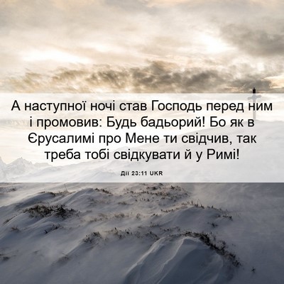 Picture 06 - Дії 23:11 UKR - А наступної ночі став - Bible Verse Picture