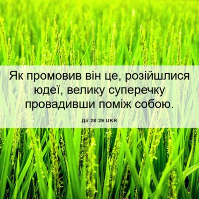 Picture 06 - Дії 28:29 UKR - Як промовив він це, - Bible Verse Picture